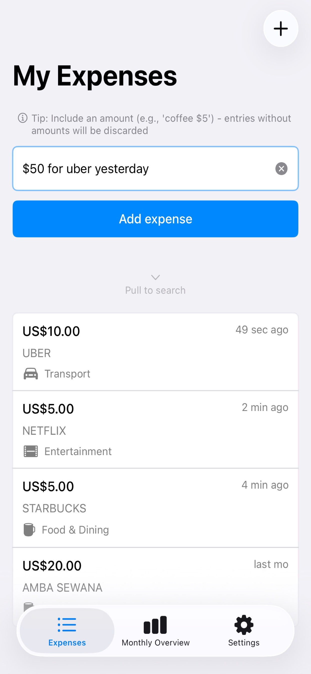 SLESS App - AI Expense Input
